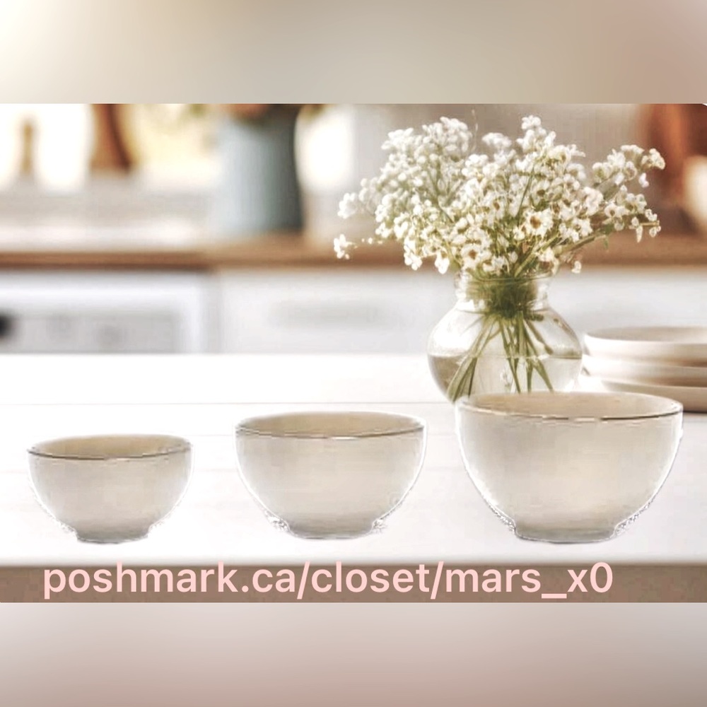 BNIB Set of 3 Nesting Bowls - Mink Mix